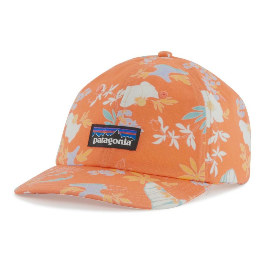 Headwear * | Patagonia P-6 Label Trad Cap (Spring 2022)